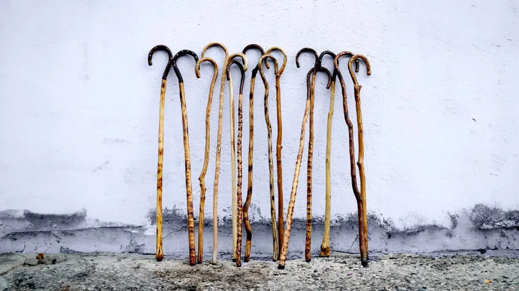 A dozen walking sticks rest against a wall